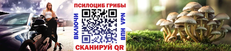 Галлюциногенные грибы MAGIC MUSHROOMS  Ветлуга 